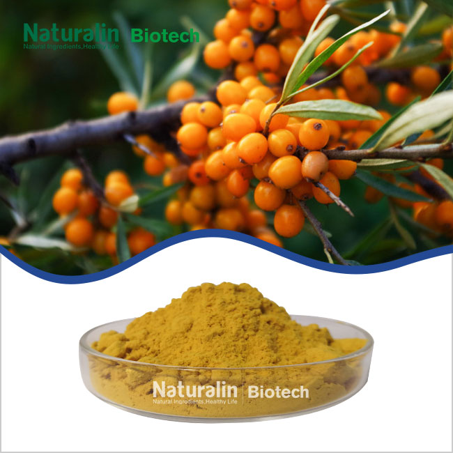 Sea Buckthorn Powder